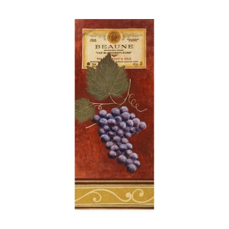 Pablo Esteban 'Grapes With Label On Red' Canvas Art,20x47